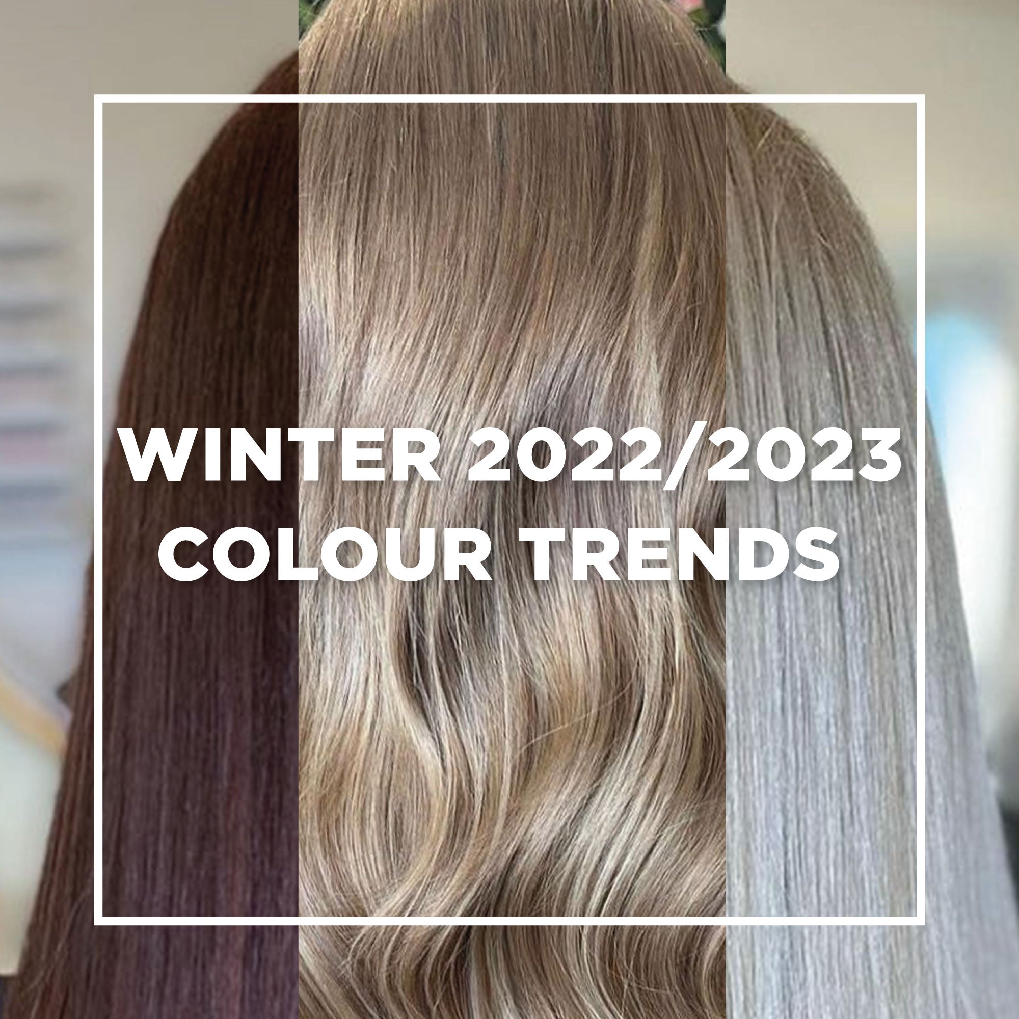 Hair Colours We Expect To Trend In Winter 2022/2023